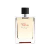 Hermes Terre D'hermes Intense EDP M 100ML Tester