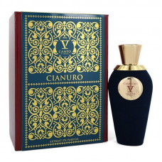 V Canto Cianuro Extrait De Parfum Unisex 100ML